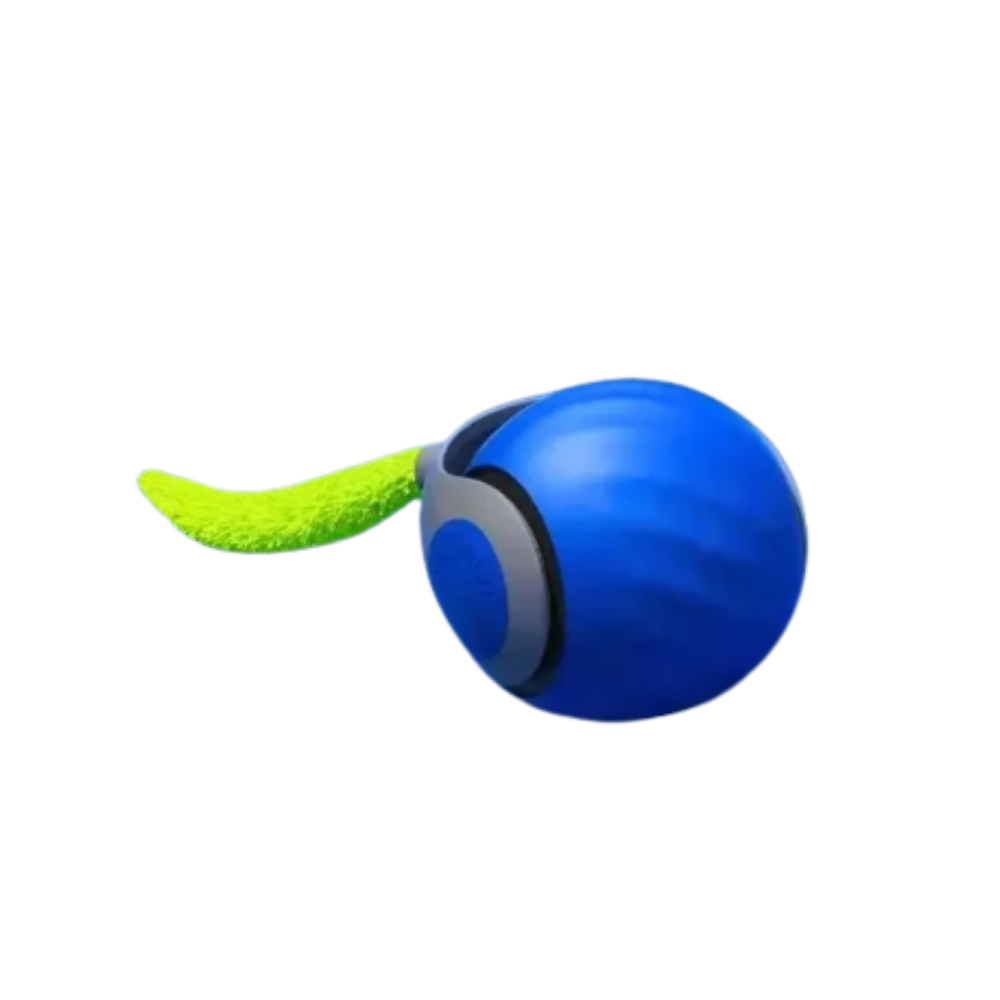 Speedy